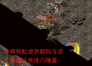 ������ɹ�������������������Щ������Ӯ