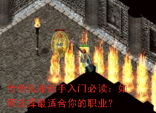 ����˽���������űض������ѡ�����ʺ����ְҵ��