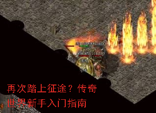 �ٴ�̤����;������������������ָ��