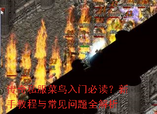 ����˽���������űض������ֽ̳��볣������ȫ����