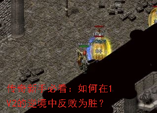 �������ֱؿ��������1V2���澳�з���Ϊʤ��