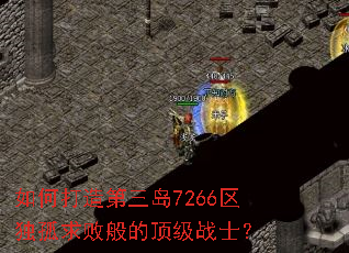 ��δ��������7266��������ܰ�Ķ���սʿ��