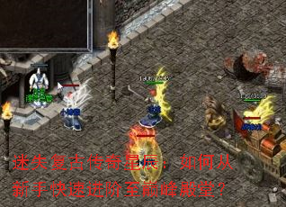 ��ʧ���Ŵ����ǳ�����δ����ֿ��ٽ������۷���ã�