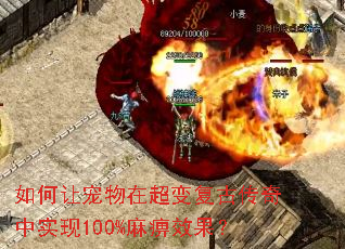 ����ó����ڳ��临�Ŵ�����ʵ��100%���Ч����