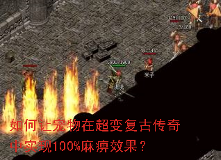 ����ó����ڳ��临�Ŵ�����ʵ��100%���Ч����