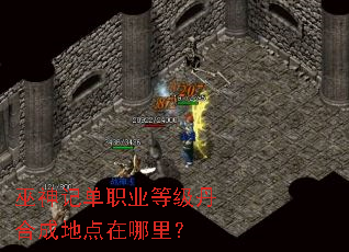 ����ǵ�ְҵ�ȼ����ϳɵص������