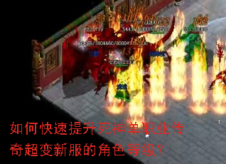 ��ο�����������ְҵ���泬���·��Ľ�ɫ�ȼ���