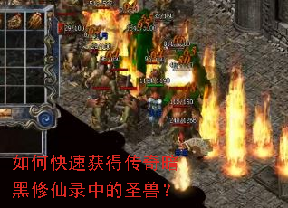 ��ο��ٻ�ô��氵������¼�е�ʥ�ޣ�