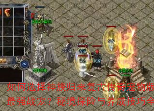 ���ѡ������������Ŵ��������е���ǿս�裿�ؾ�̽�������ɼ���ȫ����
