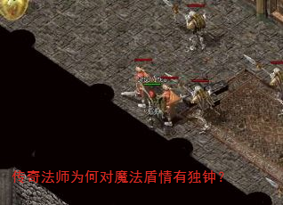 ���淨ʦΪ�ζ�ħ�������ж��ӣ�