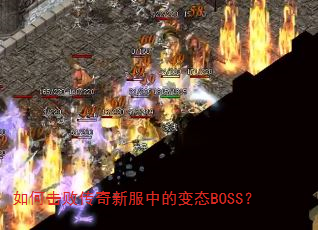 ��λ��ܴ����·��еı�̬BOSS��