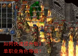 如何快速提升斩3单职业角色等级? 如何快速提升斩3单职业角色等级?