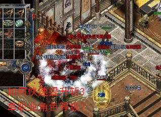 如何快速提升斩3单职业角色等级? 如何快速提升斩3单职业角色等级?