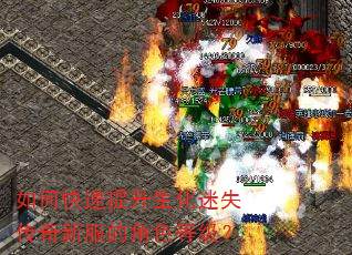 如何快速提升生化迷失传奇新服的角色等级? 如何快速提升生化迷失传奇新服的角色等级?