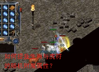 如何提升生肖与虎符的随机附魔属性? 如何提升生肖与虎符的随机附魔属性?