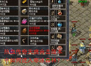 热血传奇天痕合击版本中如何进入寒冰森林? 热血传奇天痕合击版本中如何进入寒冰森林?