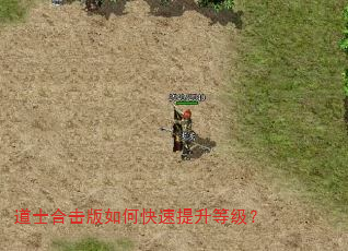 道士合击版如何快速提升等级? 道士合击版如何快速提升等级?