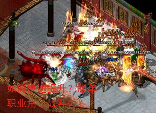 如何快速提升?服单职业角色战斗力? 如何快速提升?服单职业角色战斗力?