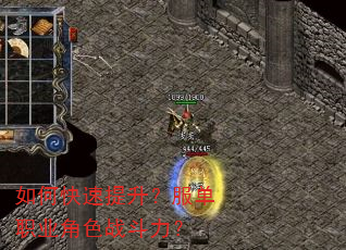如何快速提升?服单职业角色战斗力? 如何快速提升?服单职业角色战斗力?