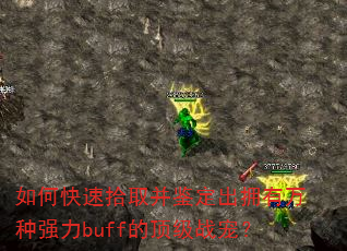 如何快速拾取并鉴定出拥有万种强力buff的顶级战宠? 如何快速拾取并鉴定出拥有万种强力buff的顶级战宠?