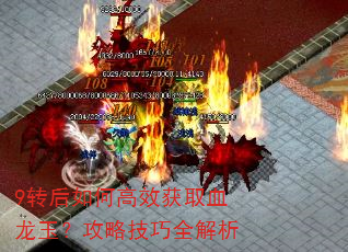 9转后如何高效获取血龙玉?攻略技巧全解析 9转后如何高效获取血龙玉?攻略技巧全解析