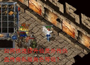 如何快速提升仙灵外传热血传奇私服角色等级? 如何快速提升仙灵外传热血传奇私服角色等级?