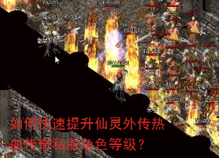如何快速提升仙灵外传热血传奇私服角色等级? 如何快速提升仙灵外传热血传奇私服角色等级?