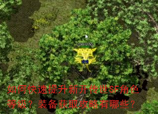 如何快速提升新开传世SF角色等级?装备获取攻略有哪些? 如何快速提升新开传世SF角色等级?装备获取攻略有哪些?