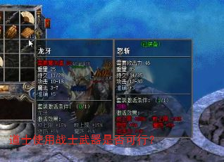 道士使用战士武器是否可行? 道士使用战士武器是否可行?