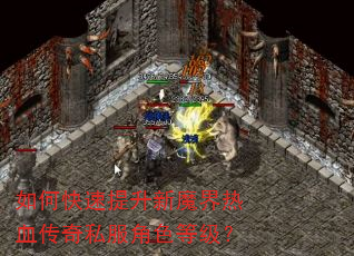 如何快速提升新魔界热血传奇私服角色等级? 如何快速提升新魔界热血传奇私服角色等级?