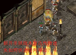 新开圣妖版本复古传奇迷失如何快速提升等级? 新开圣妖版本复古传奇迷失如何快速提升等级?