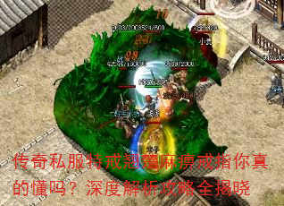 传奇私服特戒翘楚麻痹戒指你真的懂吗?深度解析攻略全揭晓 传奇私服特戒翘楚麻痹戒指你真的懂吗?深度解析攻略全揭晓