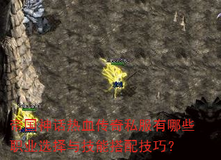 帝国神话热血传奇私服有哪些职业选择与技能搭配技巧? 帝国神话热血传奇私服有哪些职业选择与技能搭配技巧?