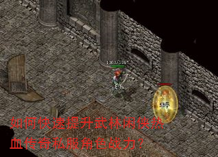 如何快速提升武林闲侠热血传奇私服角色战力? 如何快速提升武林闲侠热血传奇私服角色战力?