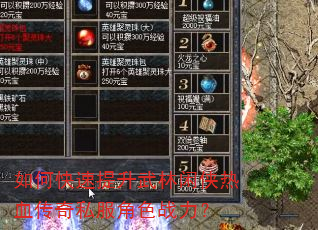如何快速提升武林闲侠热血传奇私服角色战力? 如何快速提升武林闲侠热血传奇私服角色战力?