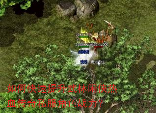 如何快速提升武林闲侠热血传奇私服角色战力? 如何快速提升武林闲侠热血传奇私服角色战力?