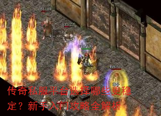 ����˽��ƽ̨ѡ����Щ���ȶ����������Ź���ȫ����