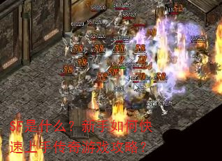 SF��ʲô��������ο������ִ�����Ϸ���ԣ�