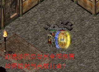 �þ�ɳ�Ϳ˻ʹ�ȫͼ�˺����Ӧ�����Ч���