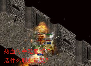 ��Ѫ����˽������ѡʲôְҵ��ˬ��