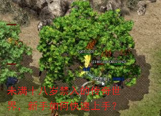 δ��ʮ�������Ĵ������磬������ο������֣�