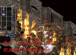 ���������20������θ�Чǰ������ɽ�ȣ�