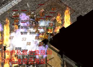 ����˽���������ο��������ȼ���