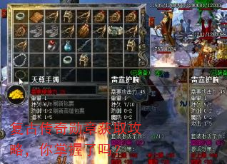 ���Ŵ���ѫ�»�ȡ���ԣ�����������