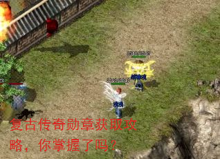 ���Ŵ���ѫ�»�ȡ���ԣ�����������