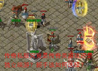 传奇私服究竟是传奇类游戏还是独立端游?新手该如何选择? 传奇私服究竟是传奇类游戏还是独立端游?新手该如何选择?