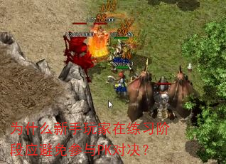 为什么新手玩家在练习阶段应避免参与PK对决? 为什么新手玩家在练习阶段应避免参与PK对决?
