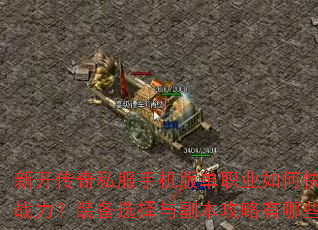 �¿�����˽���ֻ��浥ְҵ��ο�������ս����װ��ѡ���븱����������Щ���ɣ�