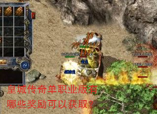 �ʳǴ��浥ְҵ������Щ�������Ի�ȡ��