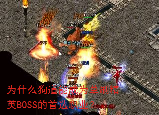 Ϊʲô�����ܳ�Ϊ��ˢ��ӢBOSS����ѡְҵ��